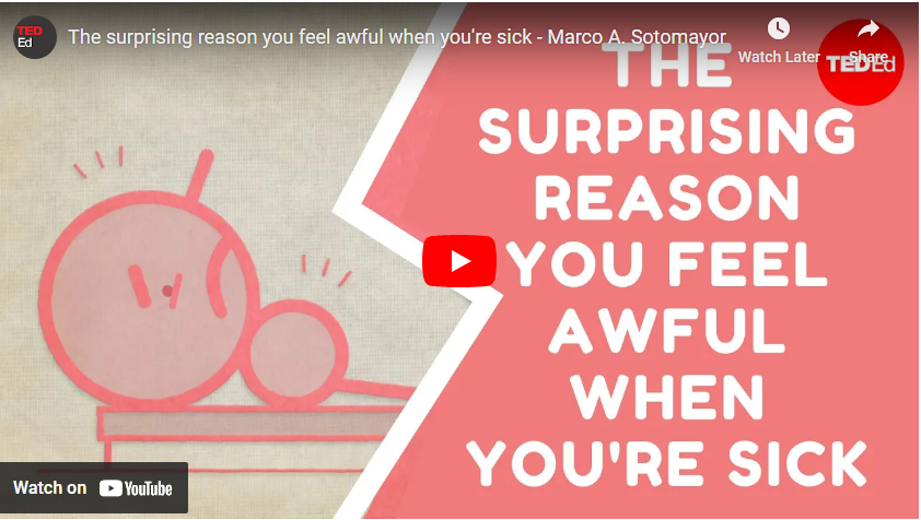 feeling sick video