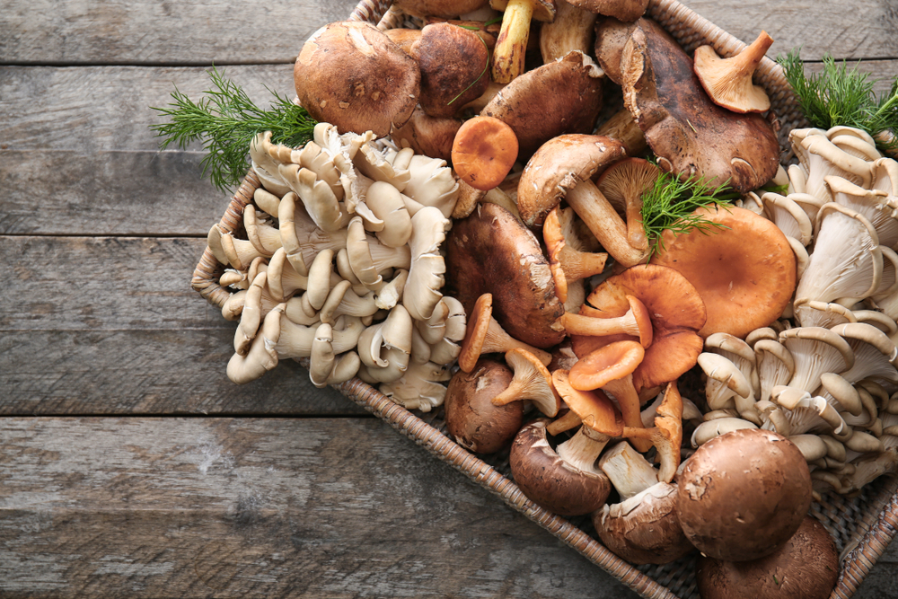 Wicker tray with variety of raw mushrooms on wooden table

