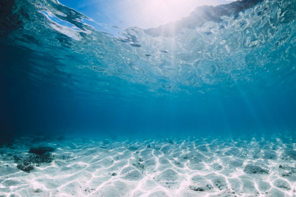 Tropical blue ocean with white sand and stones underwater in Hawaii. Ocean background
