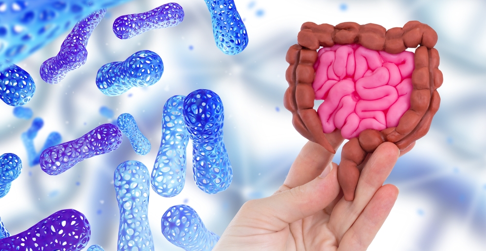 Probiotics near intestines. Human hand with intestinal tract. Microbiome of digestion. Probiotic cells around gut. Concern for quality of digestion. Study of intestinal microflora. Probiotic medicine