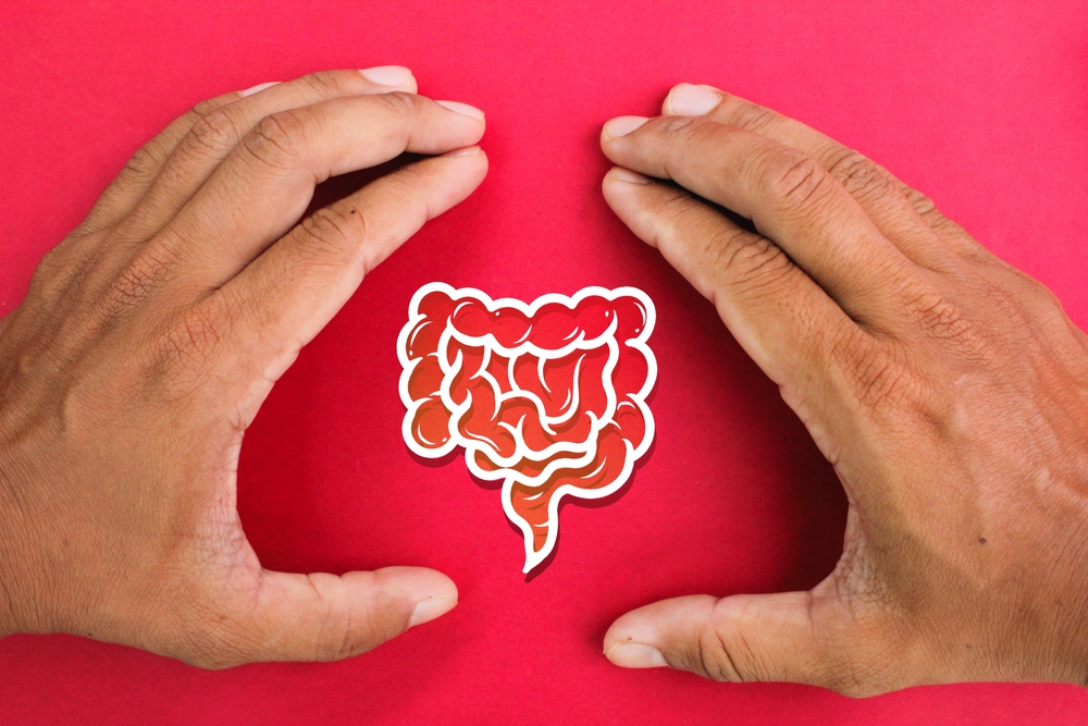 hand making a bracket with a gut icon in the middle. gut care concept. intestine shape, healthy bowel degestion, leaky gut, probiotics and prebotics for gut health. intestine care shape.