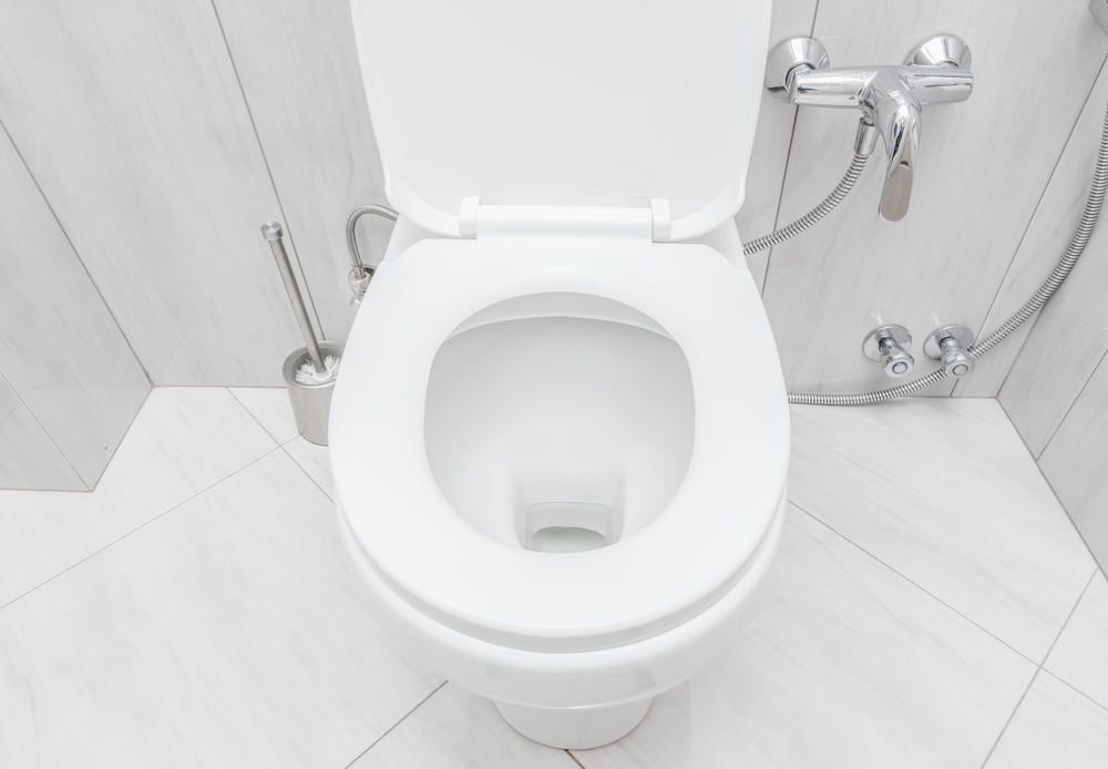 toilet bowl at domestic bathroom.