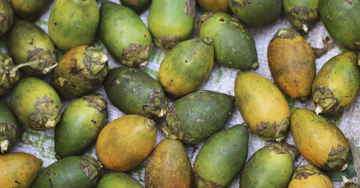 This Nut is Driving Record Rates of Cancer, But People Continue to Chew It