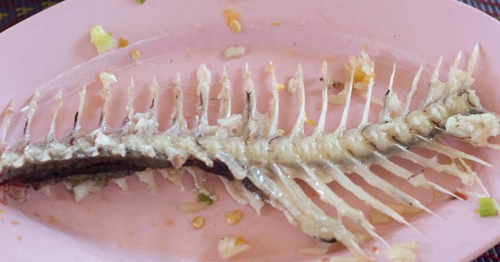 What to Do if a Fishbone Gets Stuck in Your Throat - Featured image