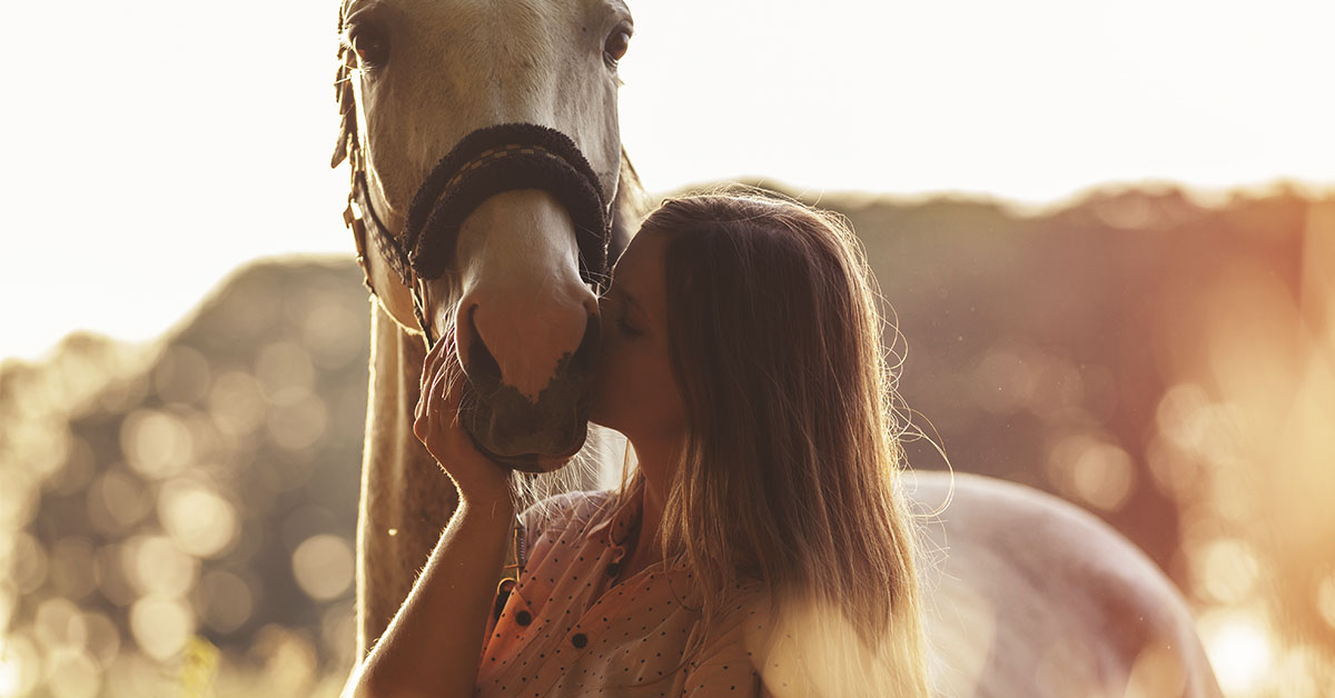 The Extraordinary Ability Horses Have to Help Us Heal