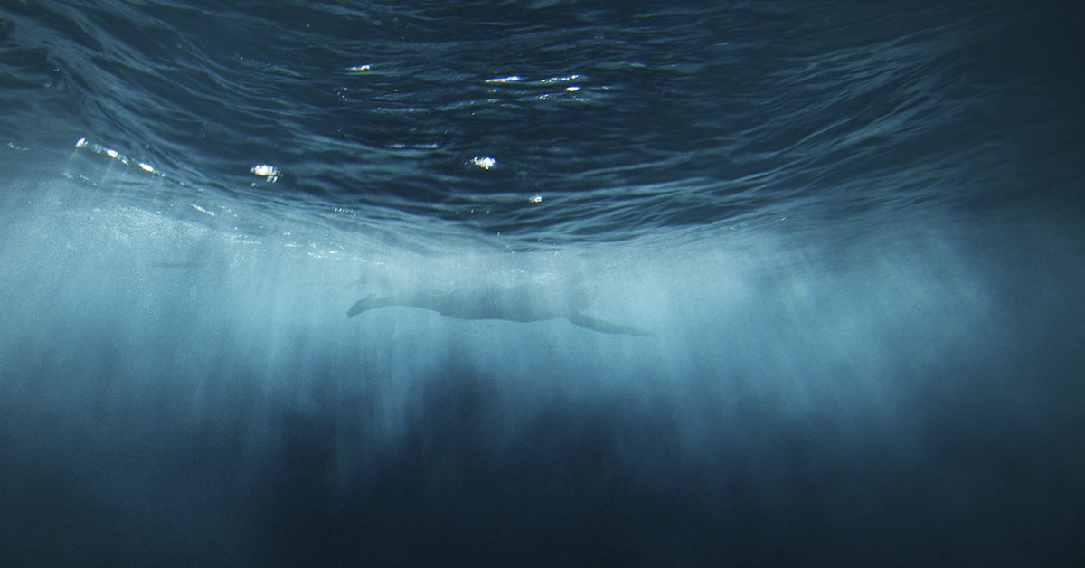 Father Left Paralyzed After Freak Cold Water Swim Accident