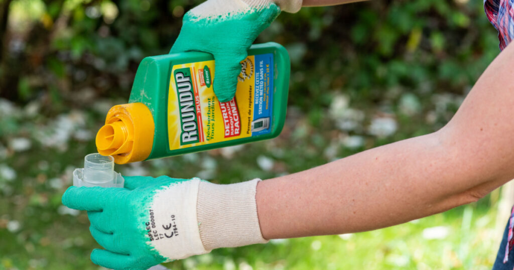 Paris, France - August 15, 2018 : Gardener using Roundup herbicide in a french garden. Roundup is a brand-name of an herbicide containing glyphosate, made by Monsanto Company.
