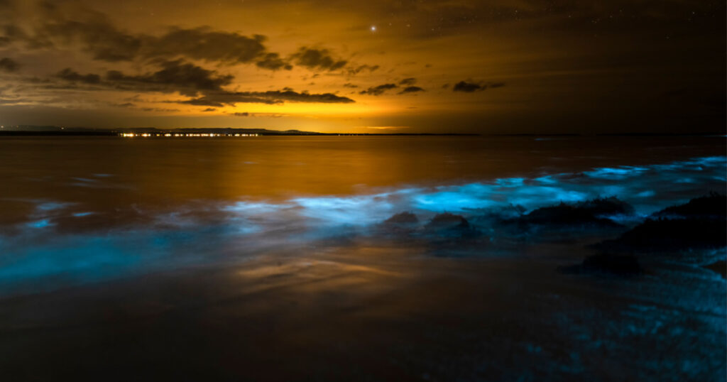Bioluminescence at night, Jervis Bay, Australia