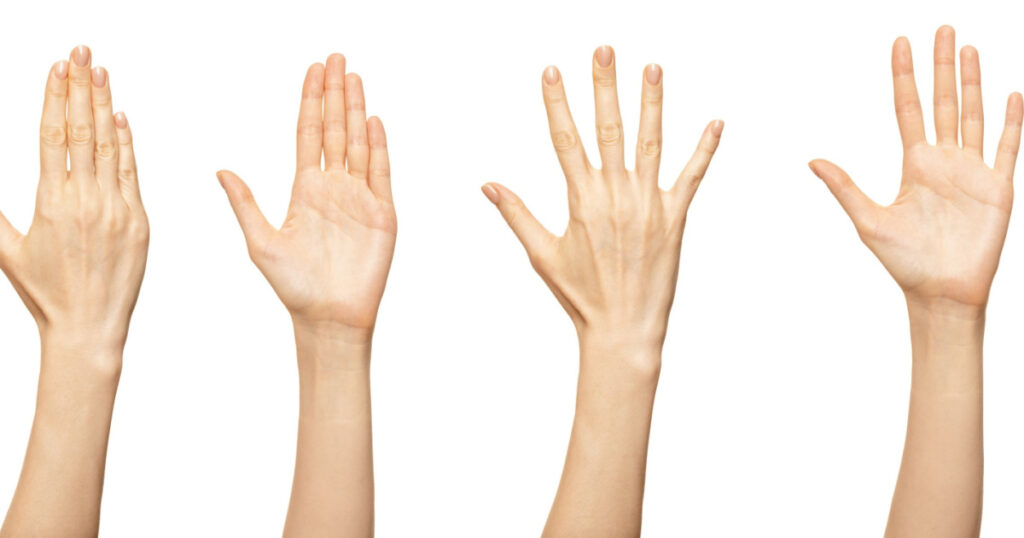 Elegant female palm or wrist isolated on white. Variation of closed woman palm and an open palm with fingers to sides