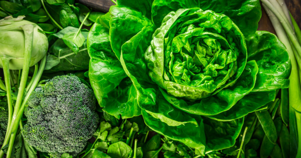 Green organic vegetables and dark leafy food background as a healthy eating concept of fresh garden produce