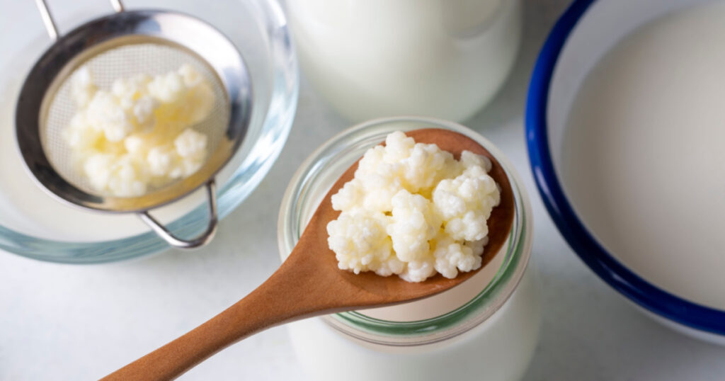 Kefir fermented milk drink with kefir grains. Homemade kefir stands in a glass, next to kefir grains and milk