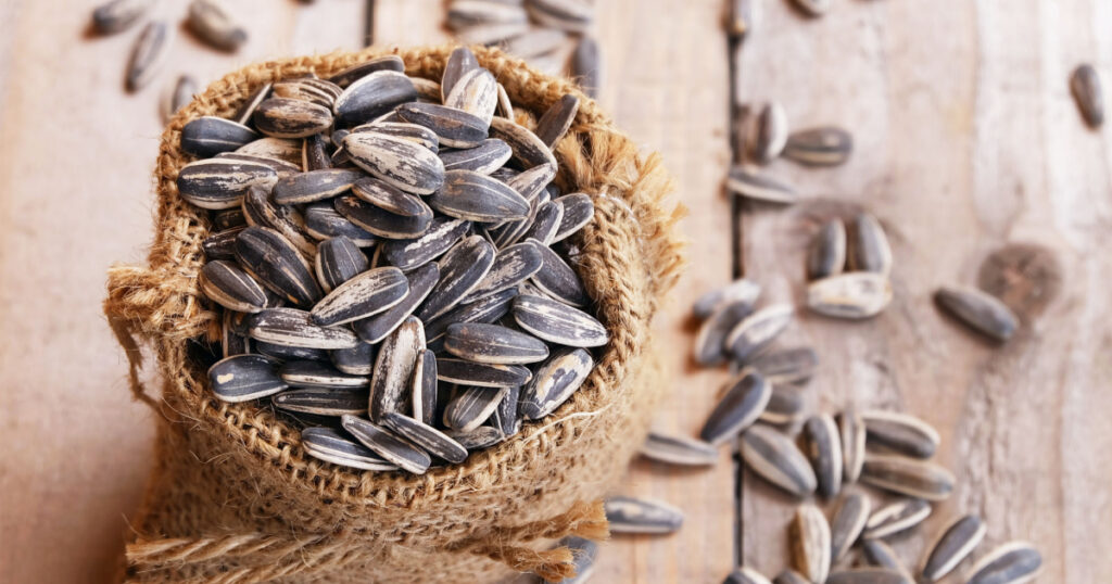 pile of sunflower seeds in the small sack on the wooden background