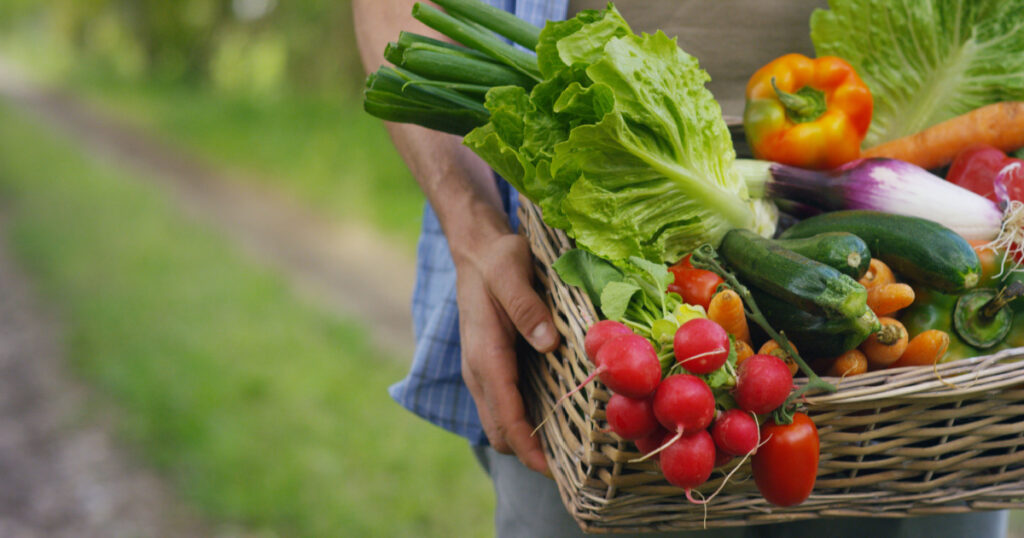 Basket with vegetables (cabbage, carrots, cucumbers, radish and peppers) in the hands of a farmer background of nature Concept of biological, bio products, bio ecology, grown by yourself, vegetarians.
