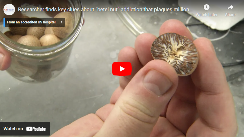 betel nut video 