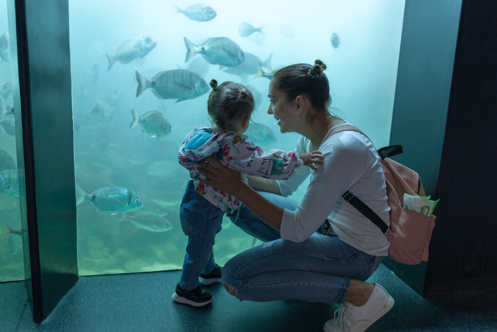Brest, France 31 May 2018 Mom and his little daughter are looking at sea fish and animals in the aquarium of the Oceanopolis.