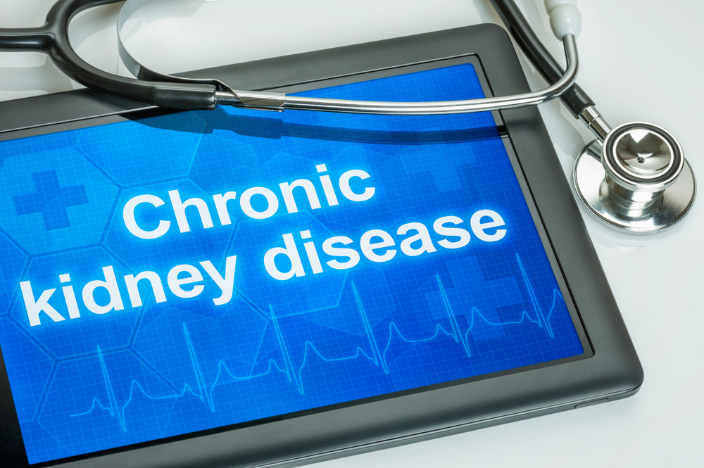 Caucasian woman and elderly Asian woman discuss kidney model issues like gallstones, glomerulonephritis, acutechronic kidney disease, infections, abnormal ureters, cysts, urinary system cancer.

