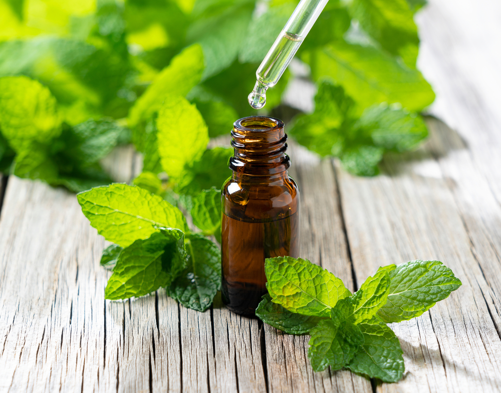 Drip mint essential oil with an eyedropper into a bottle set against the backdrop of an old tree. Mint leaves around.
