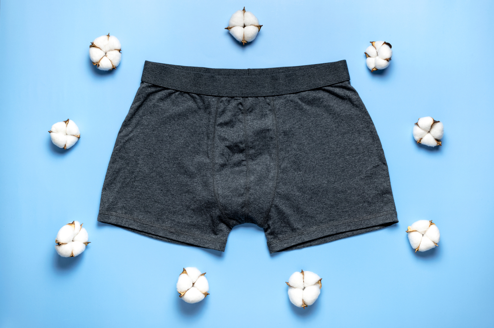 Men's underwear, gray underpants and cotton flowers on blue background. Natural fabric concept, eco style. Flat lay top view copy space. Fashion underwear, advertising, shopping. Pants boxers
