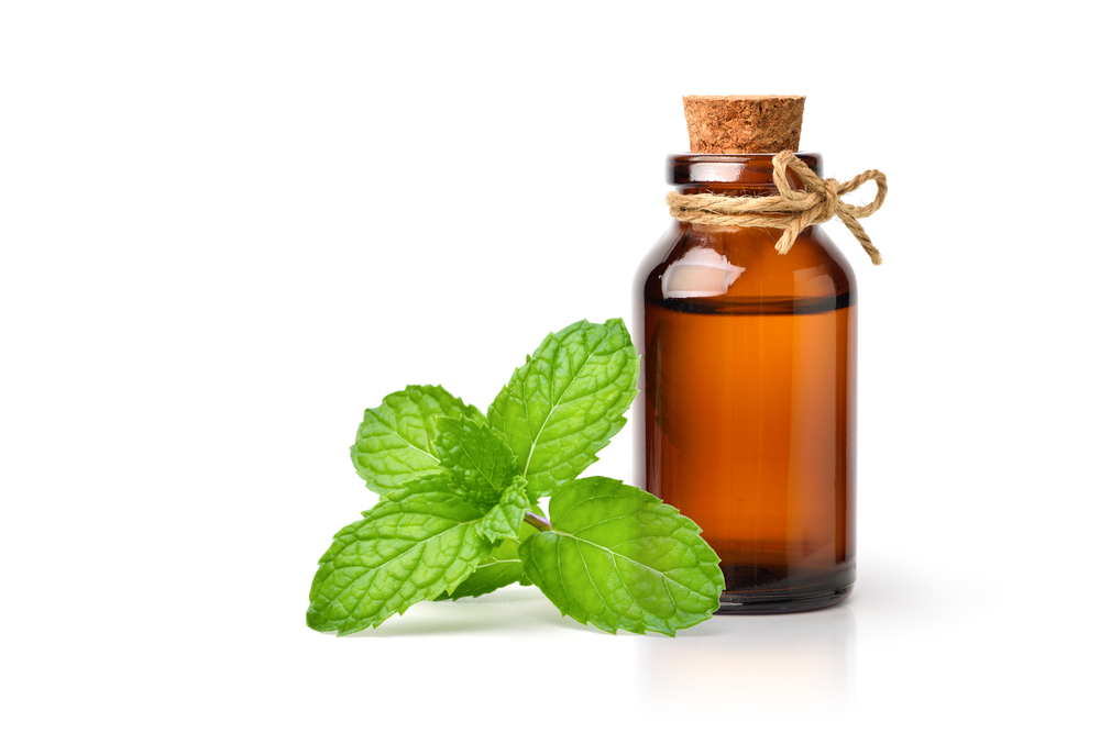 Peppermint essential oil extract in amber bottle with fresh mint leaf isolated on white background.