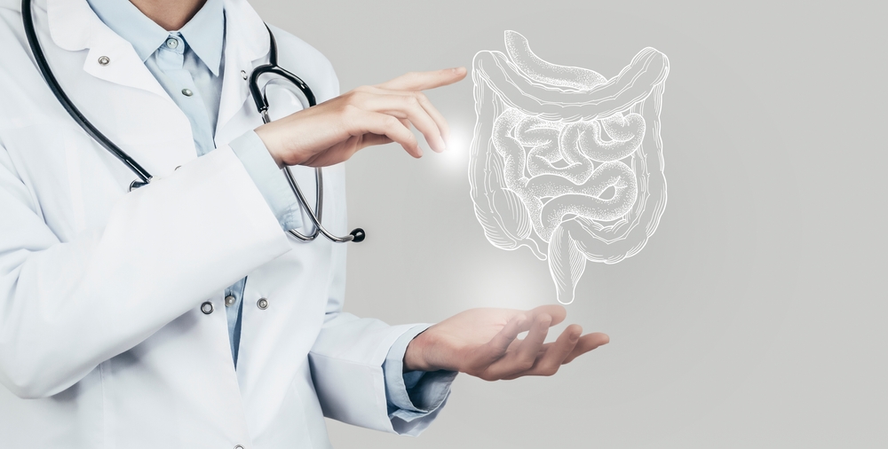 Female doctor holding virtual Intestine in hand. Handrawn human organ, copy space on right side, grey hdr color. Healthcare hospital service concept stock photo