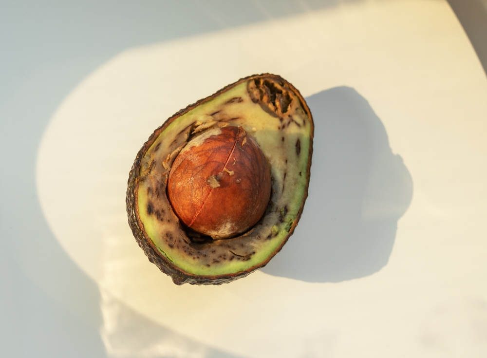 Ugly rotten avocado cut in half. Overripe bad fruit in sunlight. High quality photo
