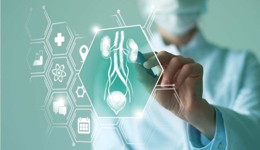 Telemedicine and human Bladder and Kidneys recovery concept. Turquoise color palette, copy space for text.
