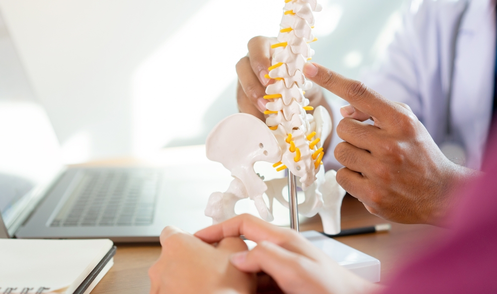 close up physical therapist hand pointing on human skeleton at low back to advise and consult to patient to treatment at office for healthcare concept
