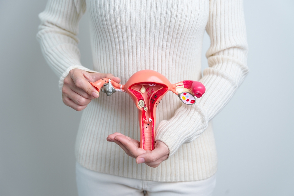 Woman holding Uterus and Ovaries model. Ovarian and Cervical cancer, Cervix disorder, Endometriosis, Hysterectomy, Uterine fibroids, Reproductive system and Pregnancy concept
