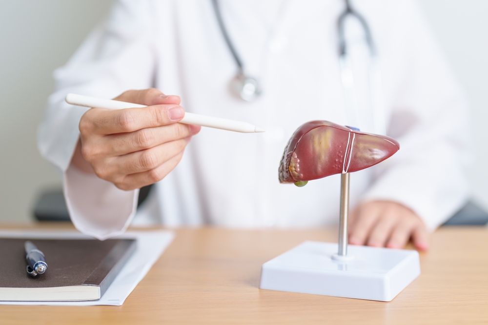 Doctor with human Liver anatomy model. Liver cancer and Tumor, Jaundice, Viral Hepatitis A, B, C, D, E, Cirrhosis, Failure, Enlarged, Hepatic Encephalopathy, Ascites Fluid in Belly and health concept
