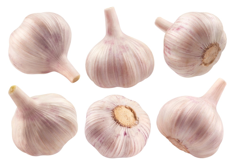 Garlic isolated set. Collection of garlics isolated on a white background, from different angles.
