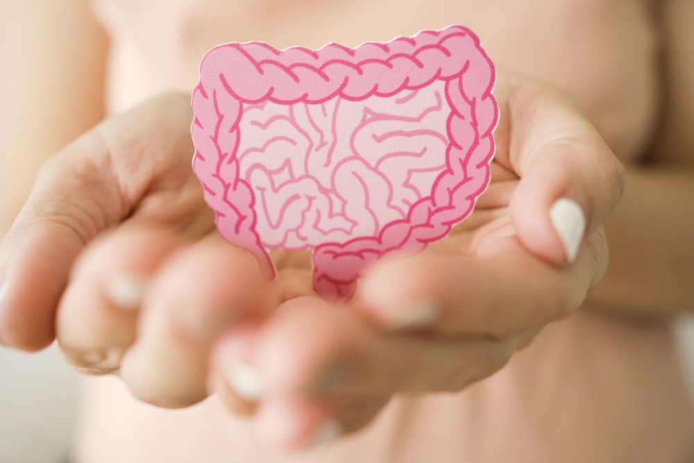 hands holding intestine shape, healthy bowel digestion, leaky gut, probiotic and prebiotic for gut health, colon, gastric, stomach cancer concept