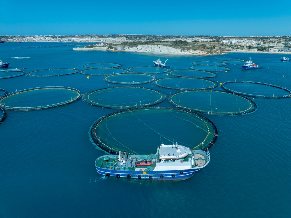 Fish farming place in Malta near by Mashaxlokk. Tuna farming rings with fishing boat near by Malta's shores.