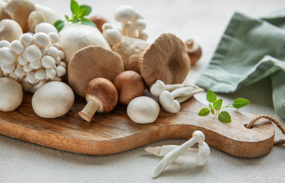 Assortment of various raw mushrooms on gray concrete background
