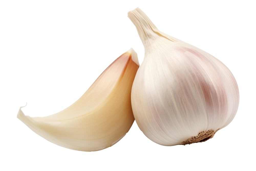 Garlic bulb and clove isolated. Garlic bulbs with cloves on white background. White garlic bulb composition. With clipping path. Full depth of field.
