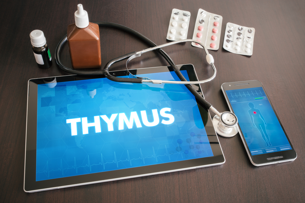 Thymus (endocrine disease related) diagnosis medical concept on tablet screen with stethoscope.