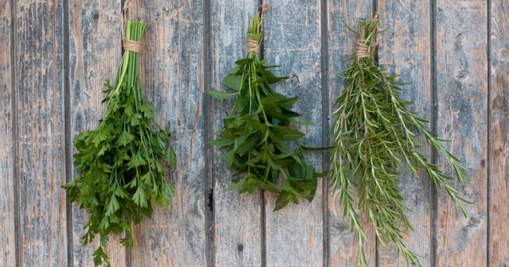 Different kind of spices hanging on an old wooden door