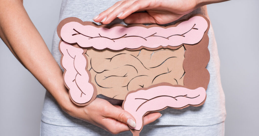 partial view of woman holding paper made large intestine on grey background