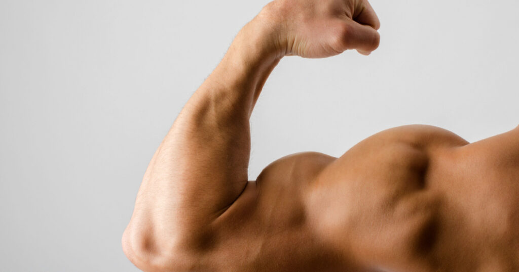 Close up on a bodybuilder biceps,shoulder,arm