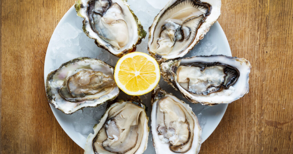 Fresh oysters in a white plate with ice and lemon on a wooden desk