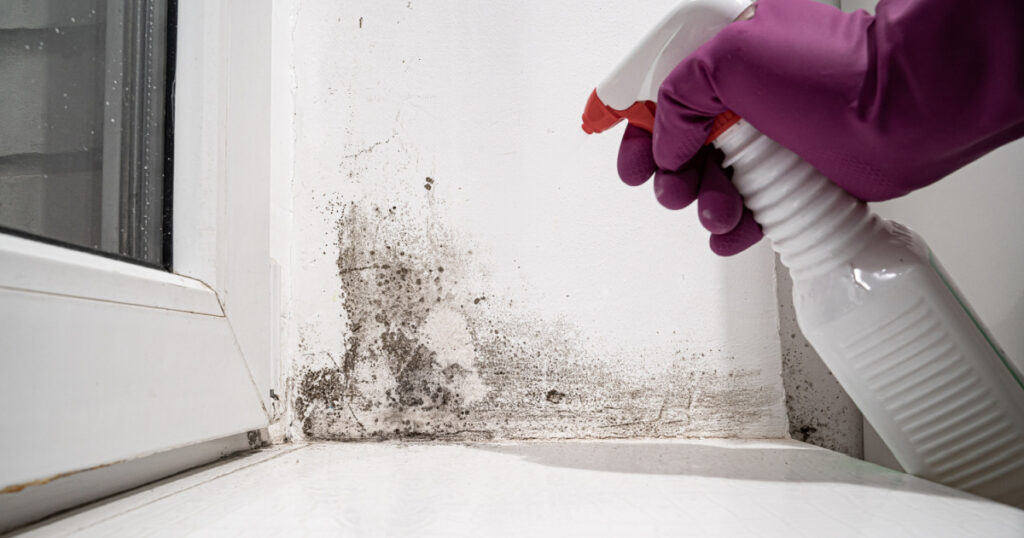 hand in glove sprays the product on angle between door and white wall from black mold.dangerous fungus that needs to be destroyed.It spoils look of house and is very harmful parasite for human health