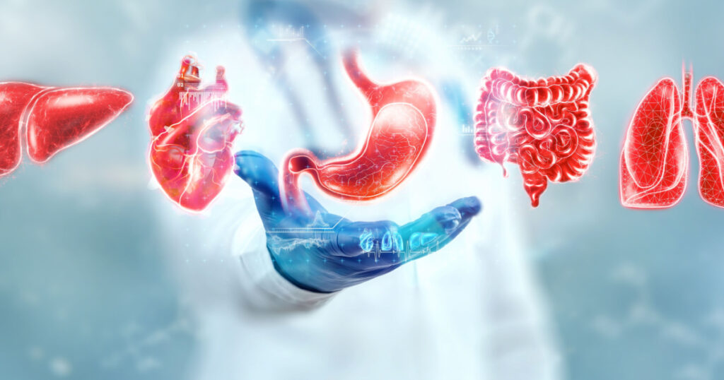 Human internal organs treatment concept. The doctor shows the patient's organs, a hologram with medical indications. Modern medicine, healthcare, medical insurance
