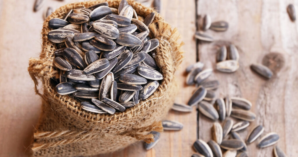 pile of sunflower seeds in the small sack on the wooden background