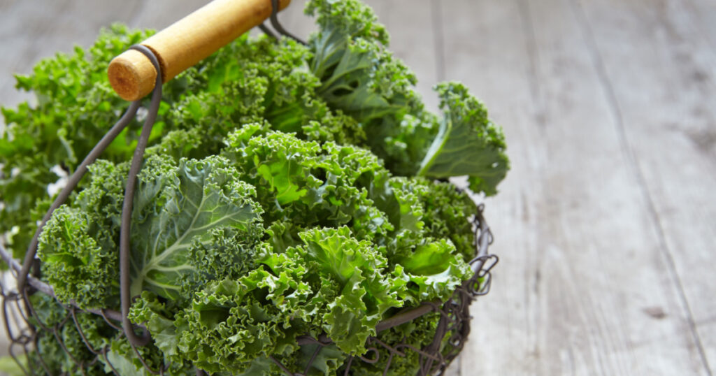 Fresh green kale leaves on wooden table
