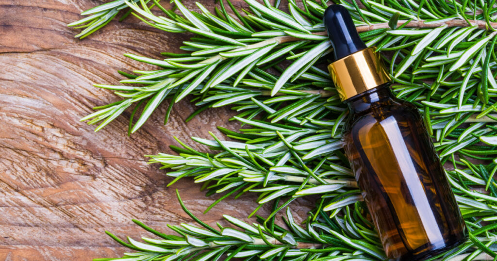 Rosemary oil bottle on wooden background copy space. Essential oil, aromatherapy natural remedies.