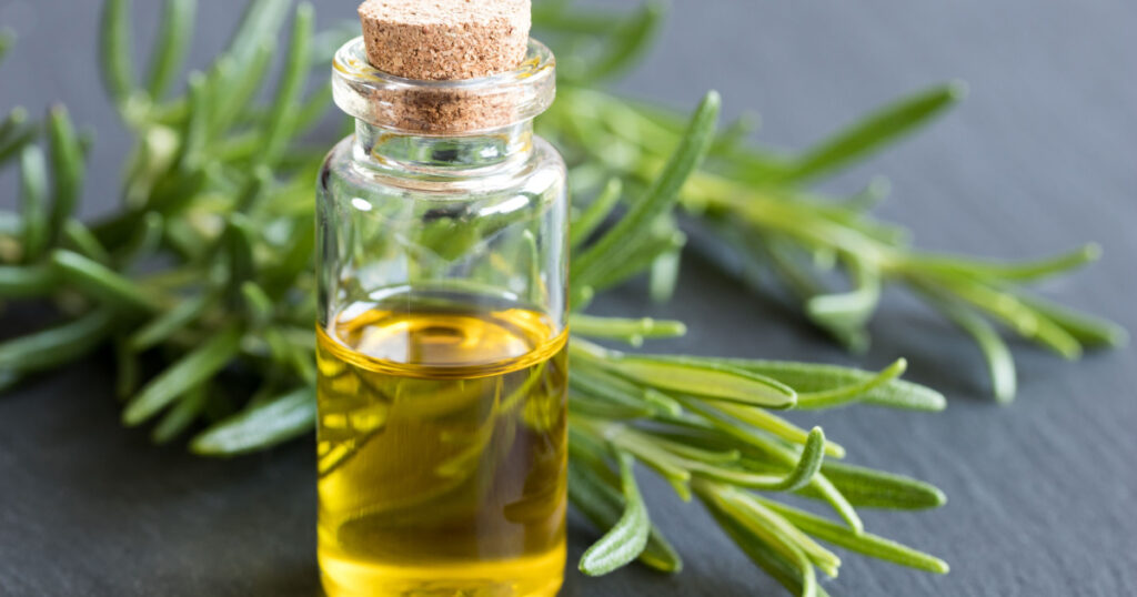 A bottle of essential oil with fresh rosemary twigs on a dark background