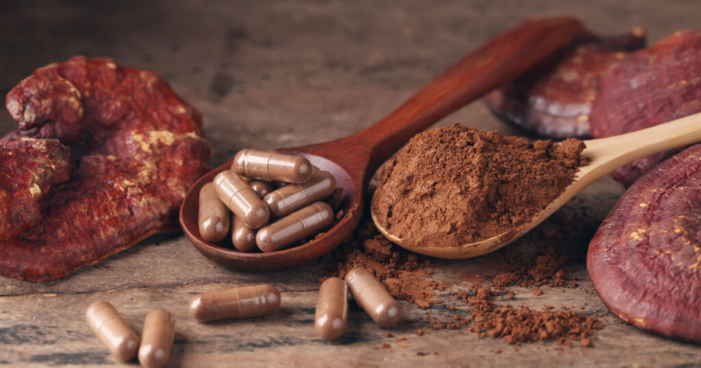 Ganoderma lucidum capsule on wooden background,Ling Zhi Mushroom - vintage filter.