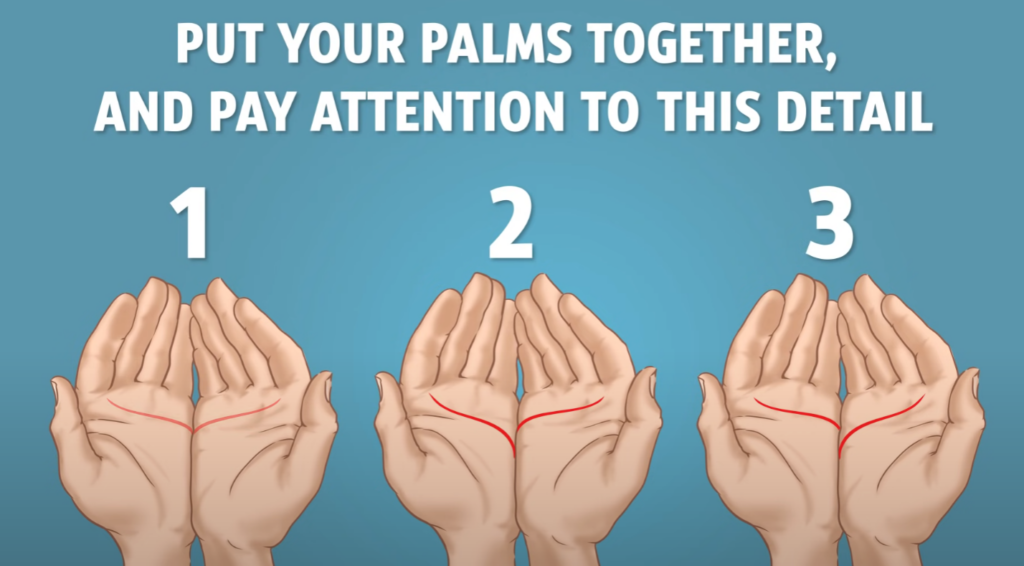 body traits - Palm Lines