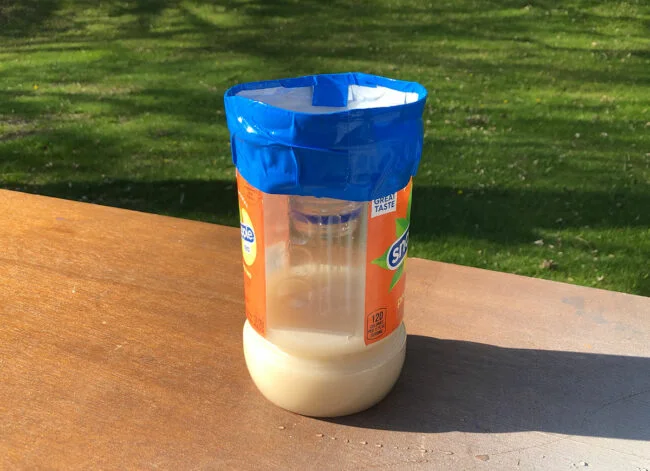 diy mosquito trap