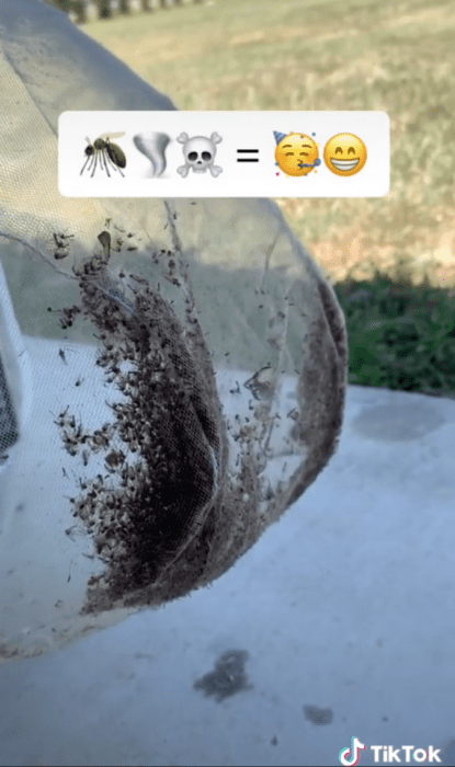 A Skeeterbag is a box fan mosquito trap that’s a safe and easy way to naturally kill mosquitoes for organic mosquito control