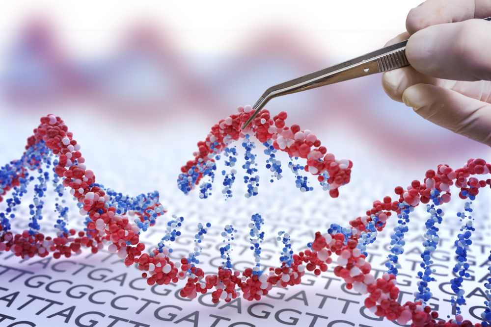Genetic engineering, GMO and Gene manipulation concept. Hand is inserting sequence of DNA. 3D illustration of DNA.
